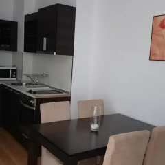 Апартаменты Tes Rila Park & Semiramida Apartments Студия фото 6
