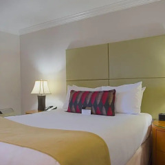 Отель Executive Hotel & Conference Center, Burnaby Канада, Бурнаби - отзывы, цены и фото номеров - забронировать отель Executive Hotel & Conference Center, Burnaby онлайн комната для гостей фото 5