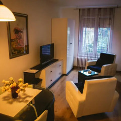 Отель Lina Apartments Сербия, Белград - отзывы, цены и фото номеров - забронировать отель Lina Apartments онлайн комната для гостей фото 5