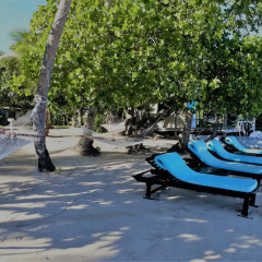 Отель Robinson Crusoe Island Фиджи, Вити-Леву - отзывы, цены и фото номеров - забронировать отель Robinson Crusoe Island онлайн бассейн