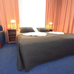 Hotel Bedriška Wellness Resort & Spa 4* Номер Комфорт с различными типами кроватей фото 3