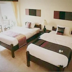 Отель Bacchus Home Resort 3* Номер Делюкс с различными типами кроватей фото 7