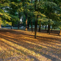 Гостиница на Улице Ленина в Ростове-на-Дону отзывы, цены и фото номеров - забронировать гостиницу на Улице Ленина онлайн Ростов-на-Дону