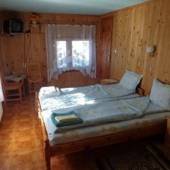 Отель Family Hotel Ecorelax Болгария, Боровец - отзывы, цены и фото номеров - забронировать отель Family Hotel Ecorelax онлайн комната для гостей фото 3