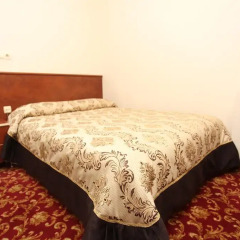 Turvan Hotel 3* Стандартный номер с различными типами кроватей фото 5