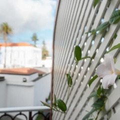 Отель Casa Das Palmeiras Charming House Azores 3* Номер Делюкс фото 3