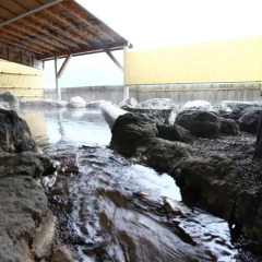 Shiobara Onsen Hotel Насусиобара пляж