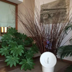 Отель Agriturismo Crocerone B&B Италия, Бассано-дель-Граппа - отзывы, цены и фото номеров - забронировать отель Agriturismo Crocerone B&B онлайн фото 4