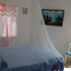 IRIE Vibez hostel Стандартный номер фото 3