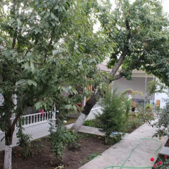 Отель ELES Guest House Стандартный номер с различными типами кроватей фото 15