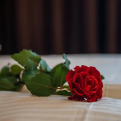 Гостиница Barkhatnye Sezony Aleksandrovsky Sad Resort 3* Стандартный семейный номер с двуспальной кроватью фото 2