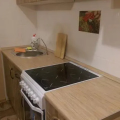 Апартаменты Lesnaya Apartment Студия фото 44