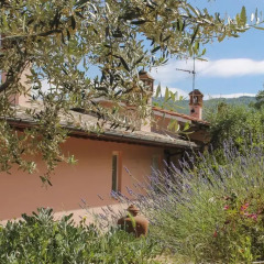 Отель Tuscany Roses Ареццо фото 7