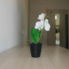 Hostel Fredi спа