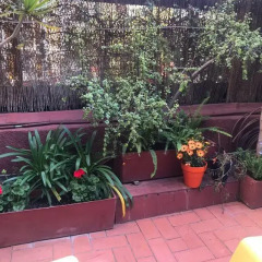 Ella Hostel Barcelona (ex. Violeta Hostel) Барселона фото 5