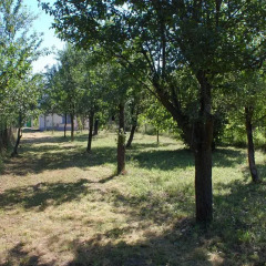 Отель Holiday Home Milkovci Боженци приотельная территория