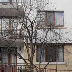 Отель Semerdzhievi Guest Rooms Болгария, Банско - отзывы, цены и фото номеров - забронировать отель Semerdzhievi Guest Rooms онлайн