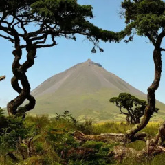Отель Calma do Mar Португалия, Мадалена - отзывы, цены и фото номеров - забронировать отель Calma do Mar онлайн фитнесс-зал
