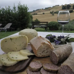 Отель Agriturismo Il Gelso Antico Италия, Реканати - отзывы, цены и фото номеров - забронировать отель Agriturismo Il Gelso Antico онлайн фото 13