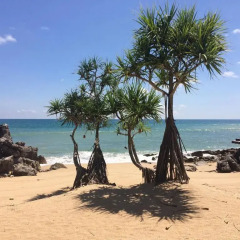 Отель Moonlight Exotic Bay Resort Таиланд, Ланта - отзывы, цены и фото номеров - забронировать отель Moonlight Exotic Bay Resort онлайн пляж