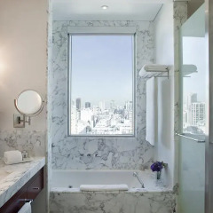 Alvear Art Hotel 5* Студия Делюкс с различными типами кроватей