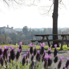 Отель Azienda Agrituristica Costa dei Tigli Костиглиоле-д'Асти фото 5