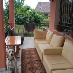 Green Garden Hostel балкон