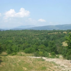 Отель Osterija Na Planinci Стандартный номер с различными типами кроватей фото 5