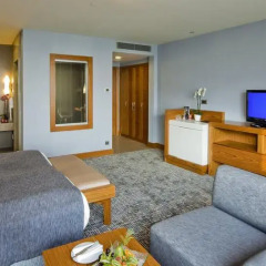 The Green Park Pendik Hotel & Convention Center 5* Номер Бизнес с различными типами кроватей фото 5