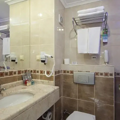 Отель PGS Rose Residence Beach - All Inclusive 5* Стандартный номер с различными типами кроватей фото 4