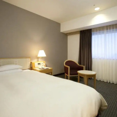Toyama Excel Hotel Tokyu 3* Стандартный номер фото 21