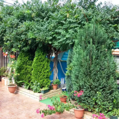 Гостиница AdlerOk Guest House детские мероприятия