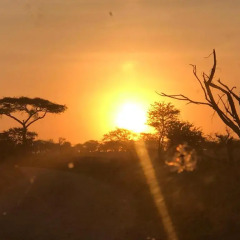 Отель Nature Homes - Africa Amini Life пляж