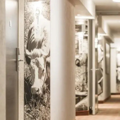 Ameron Luzern Hotel Flora 4* Стандартный номер с различными типами кроватей фото 5