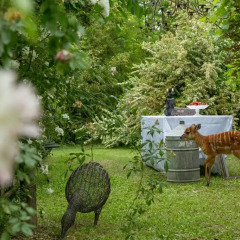 Отель Ca'Bevilacqua Bed&Breakfast Бертиноро фото 9