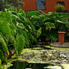 Отель Haciendas del Valle - Las Kentias фото 8