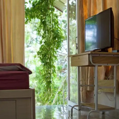 Отель Pine Hill Homestay Dalat спа
