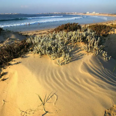 Отель West House Peniche Praia do Cerro