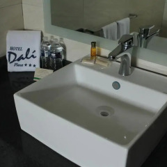 Отель Dali Plaza 3* Стандартный номер фото 9