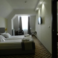 Central Hotel Sofia 4* Номер Комфорт с различными типами кроватей фото 11