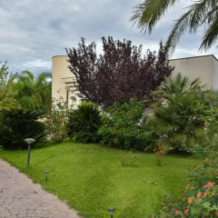 Отель Villa Flora фото 6