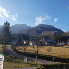 Отель Gasperin Bohinj 3* Стандартный номер с различными типами кроватей фото 13