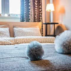Отель E-Apartamenty Польша, Познань - отзывы, цены и фото номеров - забронировать отель E-Apartamenty онлайн комната для гостей фото 5