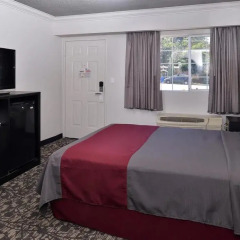 Отель Americas Best Value Inn - Dodger Stadium/Hollywood 2* Стандартный номер фото 4