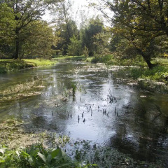 Отель Villa di Tissano Палаццоло-делло-Стелла приотельная территория