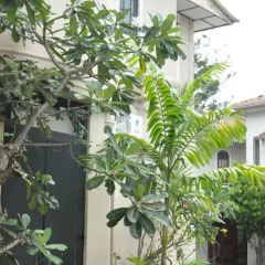 Отель Cheriton Residencies Шри-Ланка, Коломбо - отзывы, цены и фото номеров - забронировать отель Cheriton Residencies онлайн фото 11