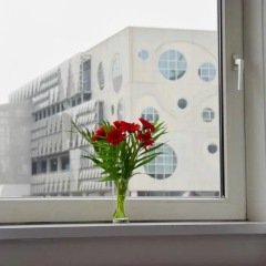 Hotel Aalborg 3* Стандартный номер с двуспальной кроватью фото 4