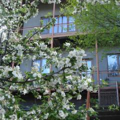 Отель Khachik's B&B