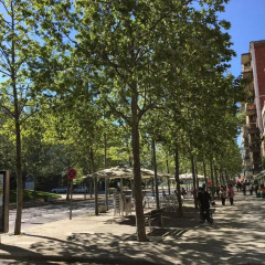 Отель Terrassa Park детские мероприятия