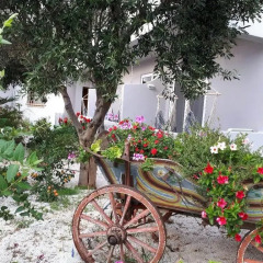 Aggello Boutique Hotel спортивное сооружение